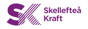 Skellefteå Kraft